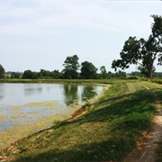 Charlie Craig State Fish Hatchery, Arkansas