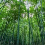 Huzhou, China