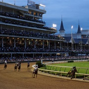 See a Horse Race at the Track