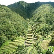 Trekking Through the Rice Terraces of Banaue, Philippines