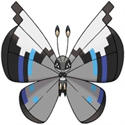 Vivillon (Monsoon Pattern)