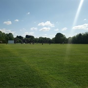 Whalley Range, Manchester - 1 Match (1885)