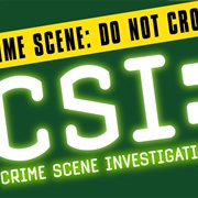 CSI Season 2