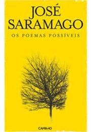 Os Poemas Possiveis (Possible Poems) 1966