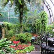 Find Respite in Changi Airport&#39;s Butterfly Garden