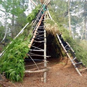Build a Tepee Shelter