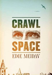 Crawl Space (Edie Meidav)