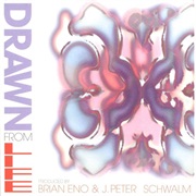 Brian Eno &amp; J. Peter Schwalm: Drawn From Life