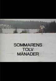 Sommarens Tolv Månader