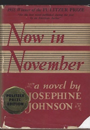 Now in November (Josephine Johnson)