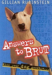 Answers to Brut (Gillian Rubinstein)