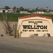 Wellton, Arizona