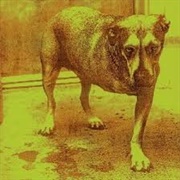 Alice in Chains - Alice in Chains (The Dog Album)