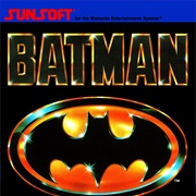 Batman the Video Game