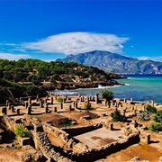 Tipaza