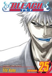 Bleach Volume 25 (Tite Kubo)