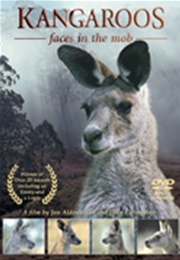 Kangaroos: Faces in the Mob (1997)