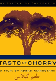 Taste of Cherry (1997)