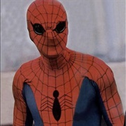 Spider-Man (Nicolas Hammond)