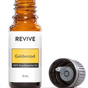Golden Rod Essential Oil