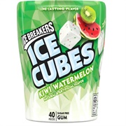 Ice Breakers Ice Cubes Kiwi Watermelon