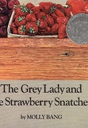 The Grey Lady and the Strawberry Snatcher (Molly Bang)