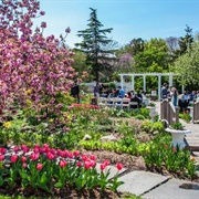 Queens Botanical Garden