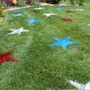 Spray Paint Stars in Your Yard