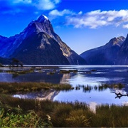 Kayak Milford Sound, New Zealand