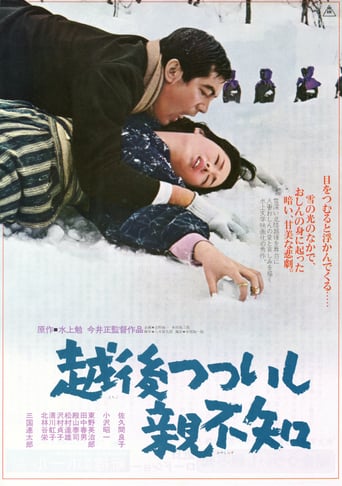 A Story From the Echigo (1964)