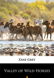 Valley of Wild Horses (Zane Grey)