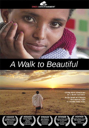 A Walk to Beautiful (2007)