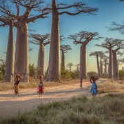 Visit Madagascar