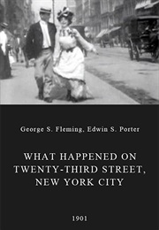 What Happened on Twenty-Third Street, New York City (1901)