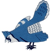 Philadelphia Blue Jays