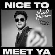 Nice to Meet Ya -Niall Horan