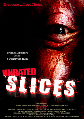 Slices (2008)