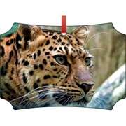 Amur Leopard Ornament