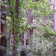 Coldwater Lake State Park