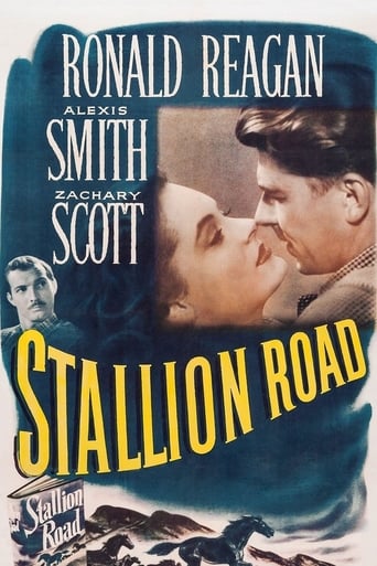 Stallion Road (1947)