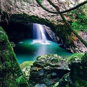 Natural Bridge, Springbrook NP