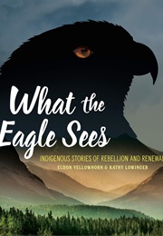 What the Eagle Sees (Eldon Yellowhorn)