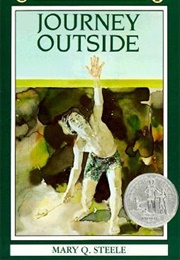 Journey Outside (Mary Q. Steele)