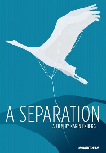 A Separation (2014)