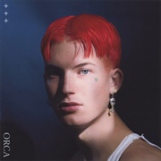 Orca by Gus Dapperton