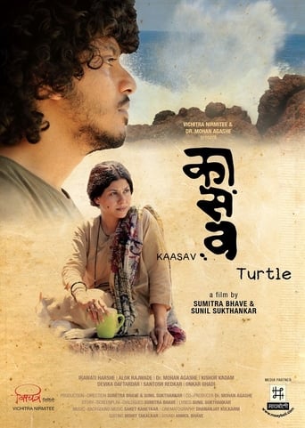 Turtle (2016)