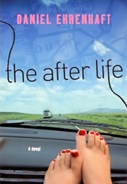 The After Life (Daniel Ehrenhaft)