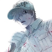 White Blood Cell