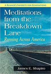 Meditations From the Breakdown Lane (Shapiro)