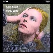 Hunky Dory